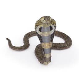 Metal Earth: Cobra thumbnail